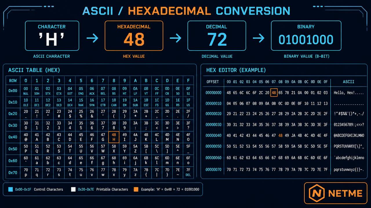 טבלת המרה בין תו ASCII, ערך HexaDecimal, ערך דצימלי וייצוג בינארי עם חלון עורך Hex